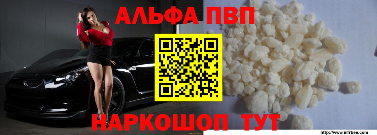Альфа ПВП СК Новороссийск