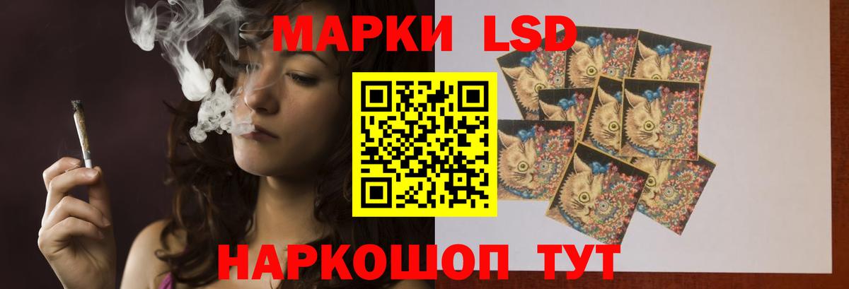 Новороссийск  Лсд 25 экстази  Вход с VPN  ЛСД экстази ecstasy  ЛСД экстази кислота 