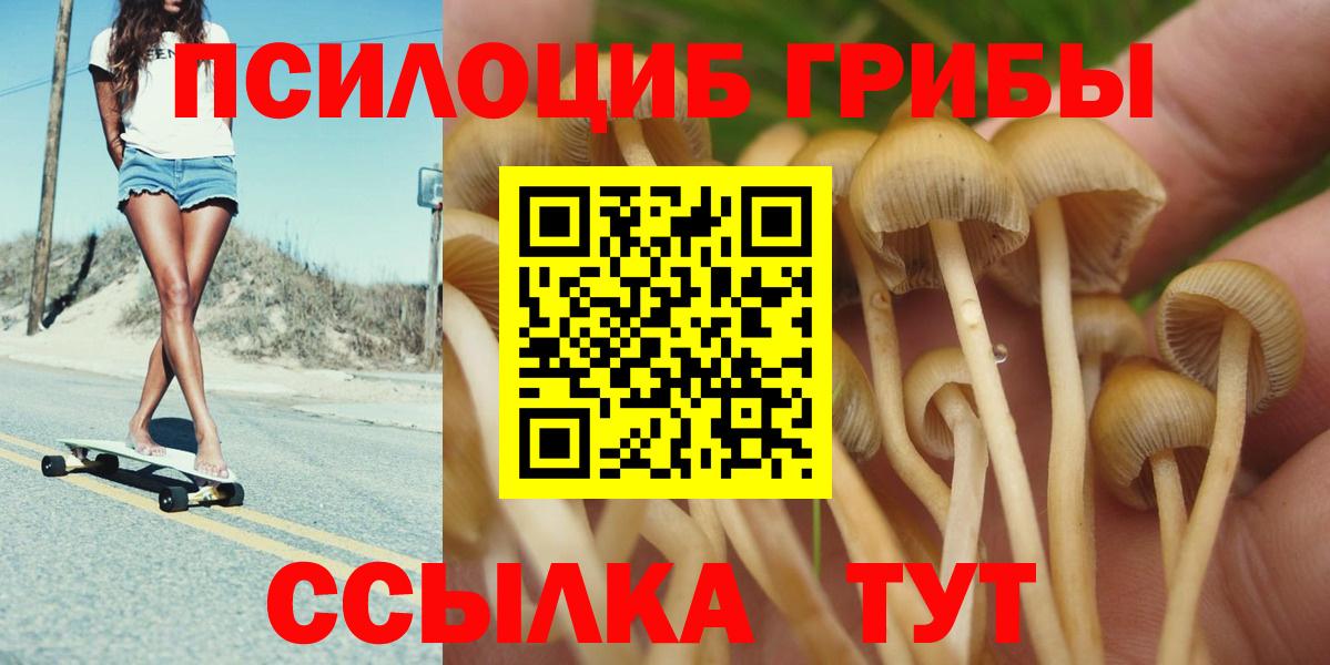 Галлюциногенные грибы Psilocybe Новороссийск