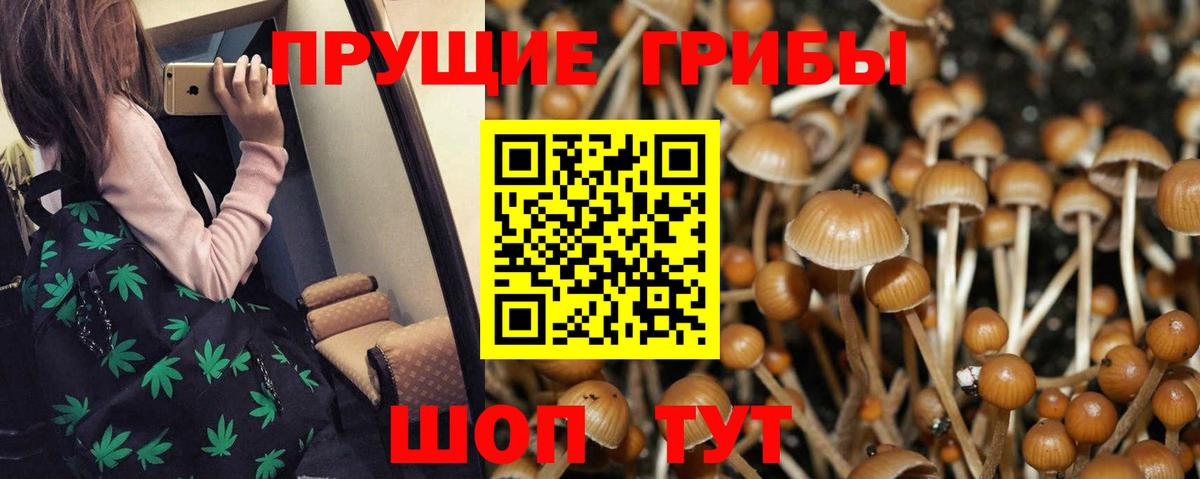 Псилоцибиновые грибы MAGIC MUSHROOMS  Вход с VPN  Галлюциногенные грибы Psilocybe  Новороссийск 